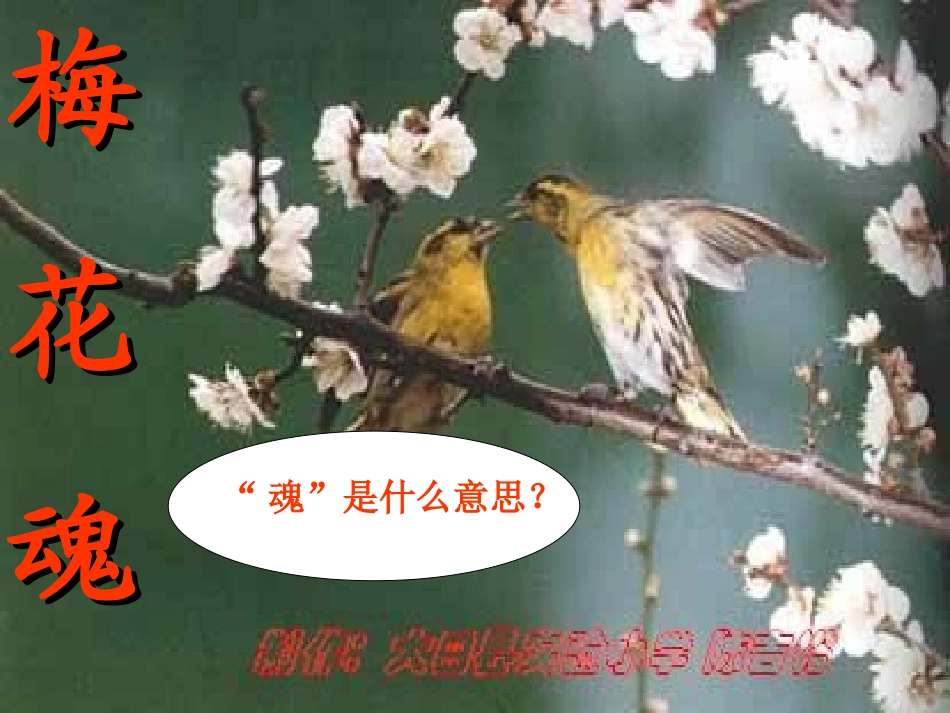 梅花魂陈吉裕_第2页