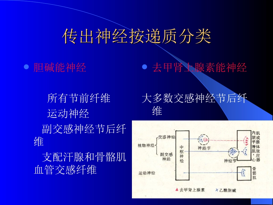药理讲义传出神经021_第1页