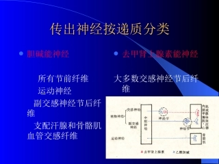 药理讲义传出神经021