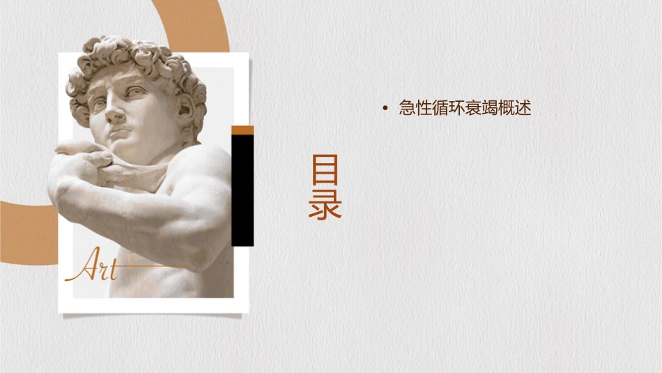 急性循环衰竭中国急诊临床实践专家共识护理课件_第2页