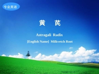 药大专英黄芪1..