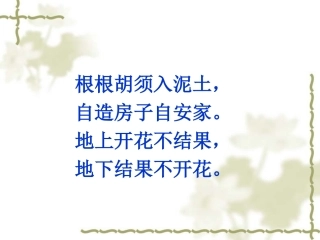 《落花生》课件 (2)