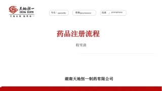 药品注册流程