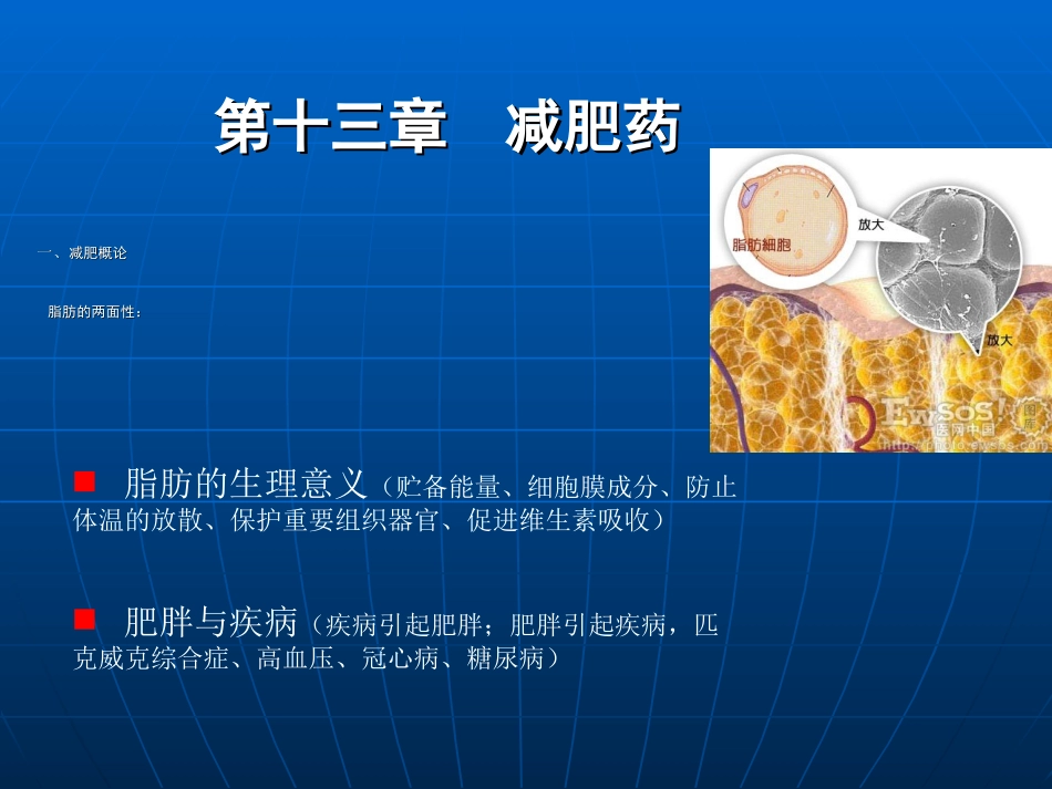 药与健康减肥药_第1页