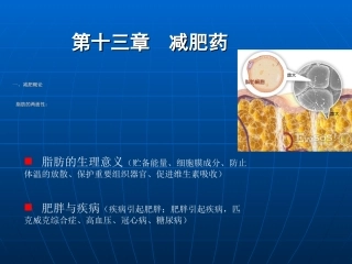 药与健康减肥药