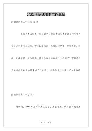 2024出纳试用期工作总结 