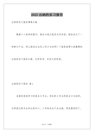 2024出纳的实习报告_12