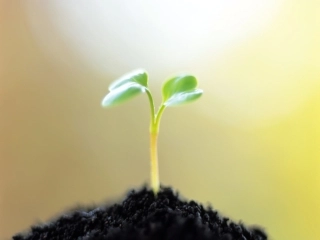 新人教版6和7的加减法练习课PPT