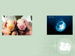 苏教版高中生物 染色体变异及其应用
