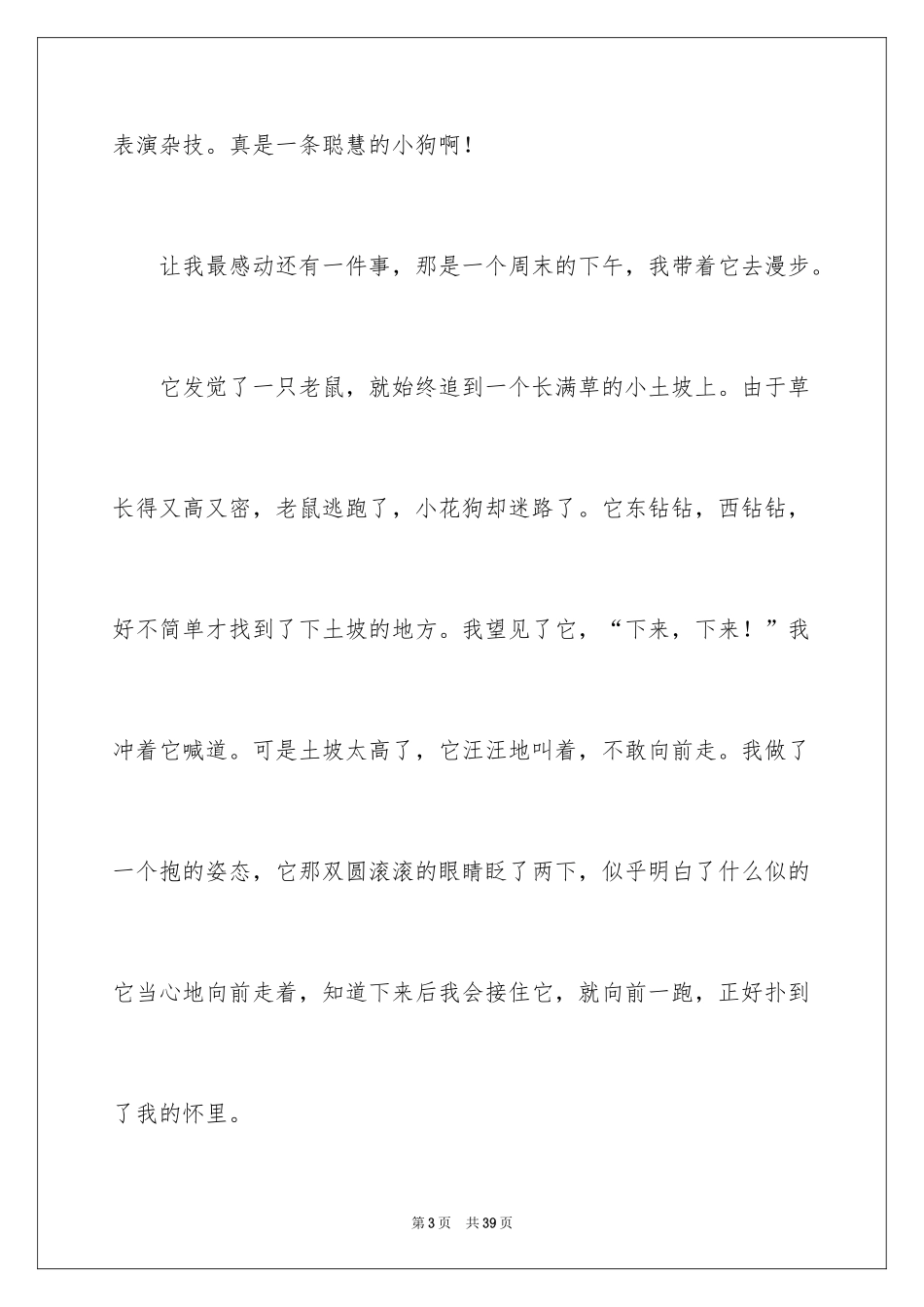 2024写狗的作文_13_第3页