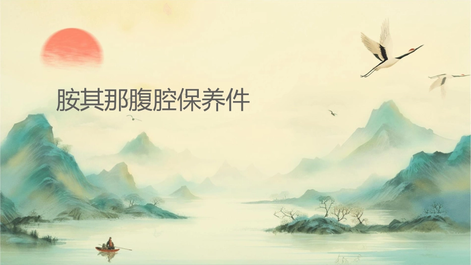 胺其那腹腔保养课件_第1页