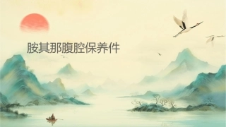 胺其那腹腔保养课件