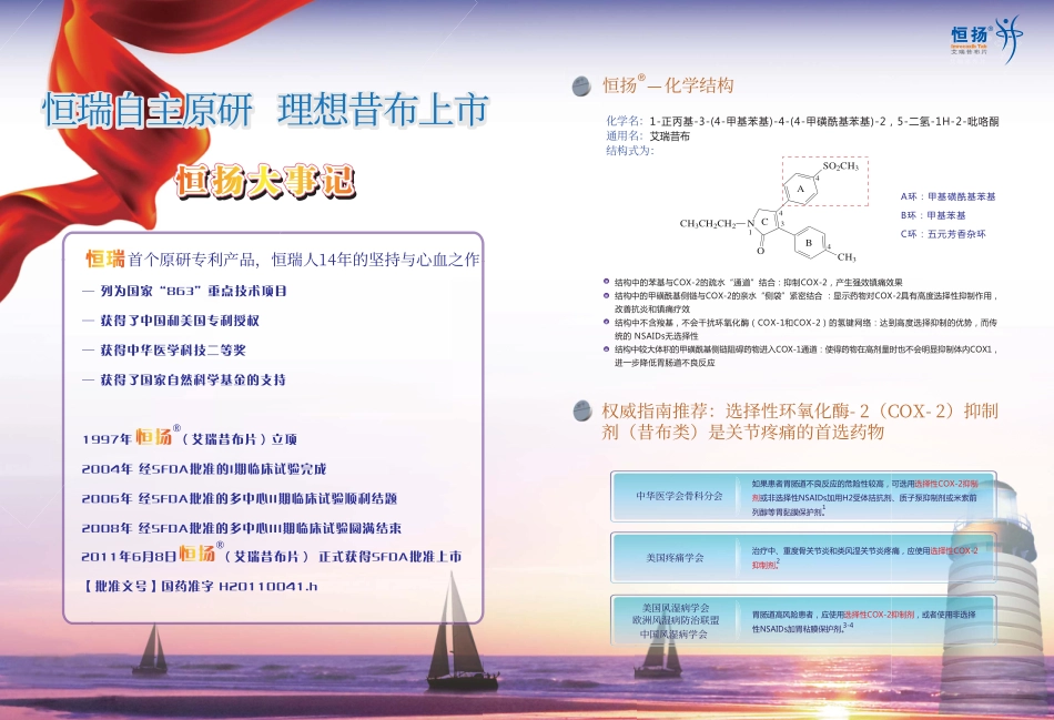 艾瑞昔布产品_第2页