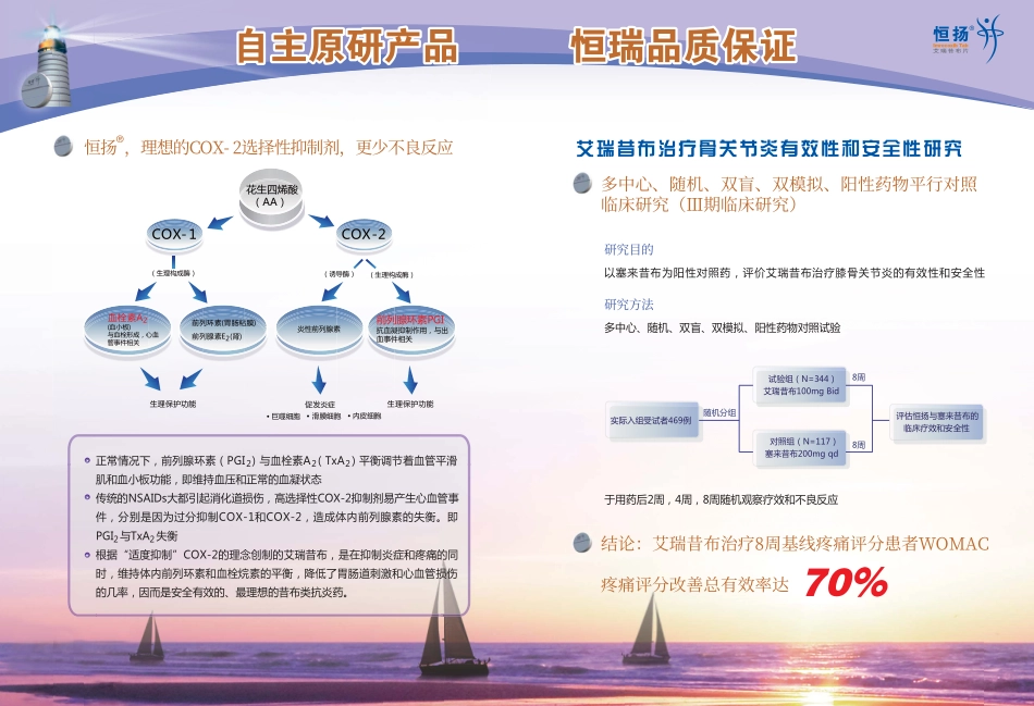 艾瑞昔布产品_第3页