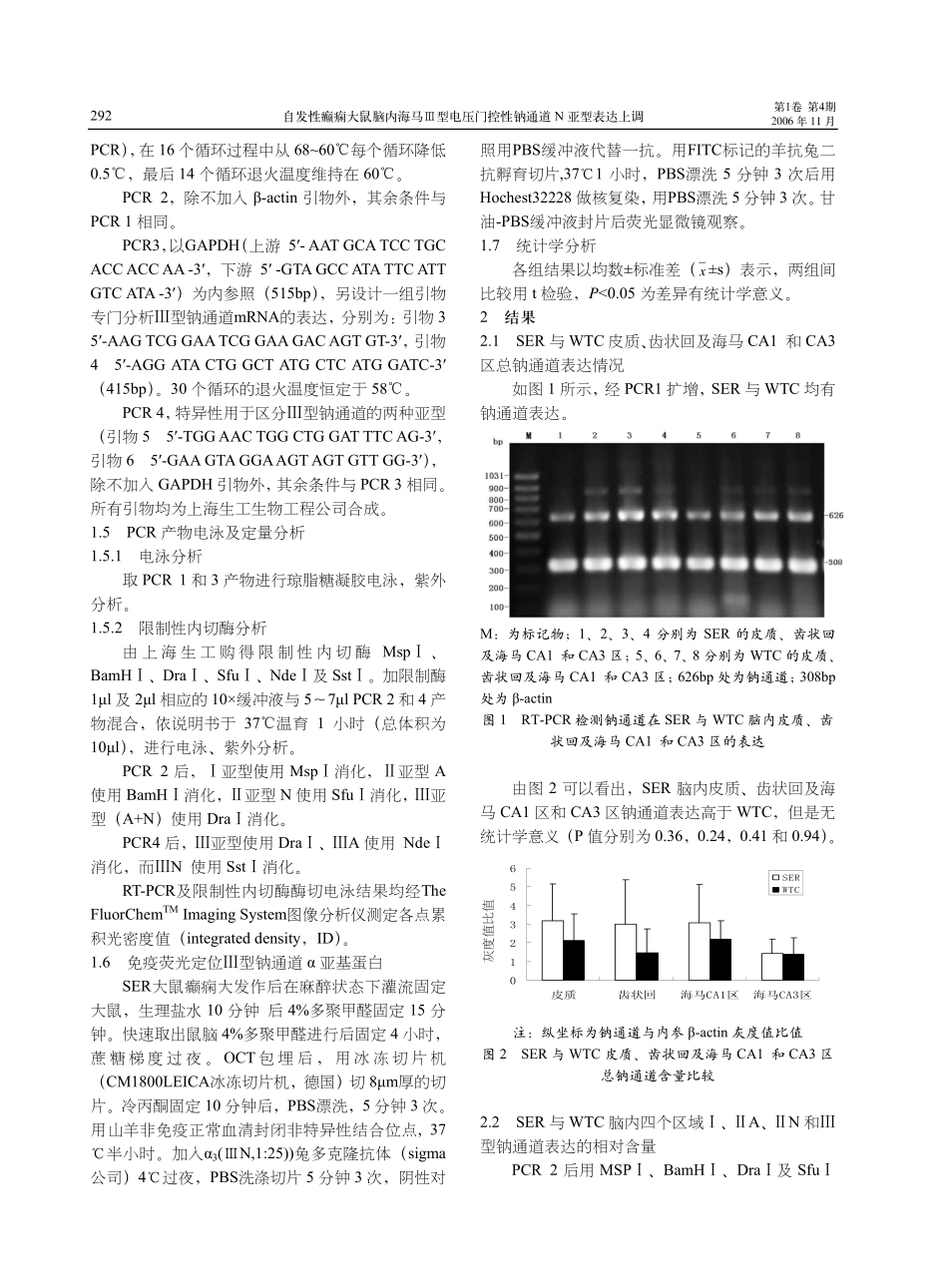 自发性癫痫大鼠脑内海马Ⅲ型电压门控性钠通道N亚型表达上调_第2页