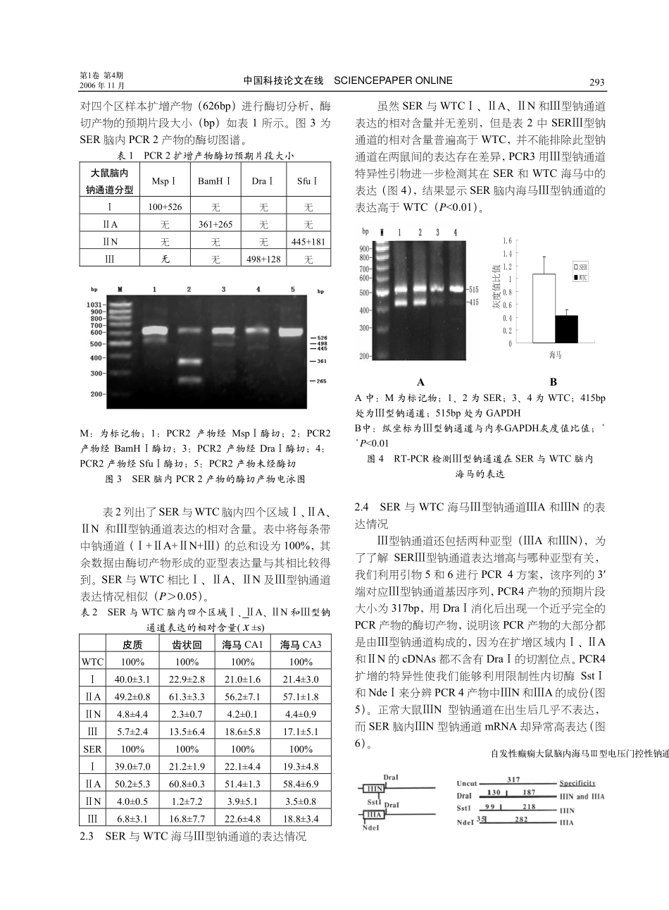 自发性癫痫大鼠脑内海马Ⅲ型电压门控性钠通道N亚型表达上调_第3页