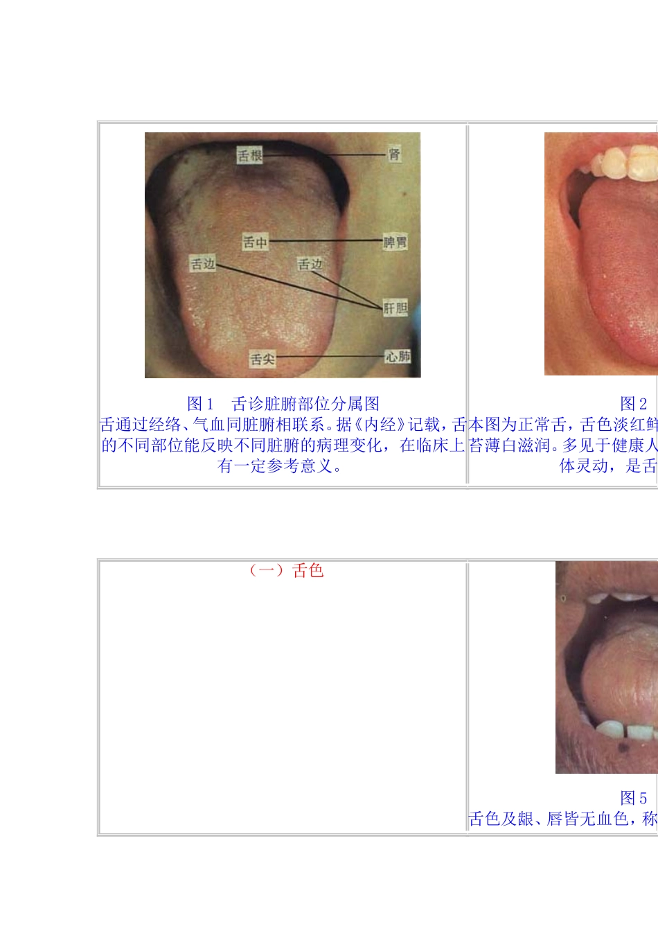 舌苔望诊图谱集_第1页