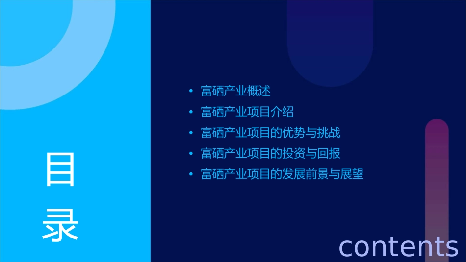 富硒产业项目介绍课件_第2页