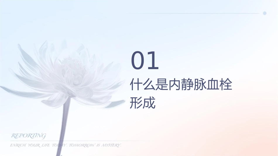 颅内静脉窦血栓形成通用课件_第3页