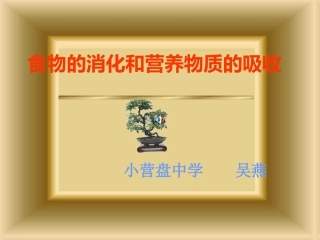 食物的消化和吸收