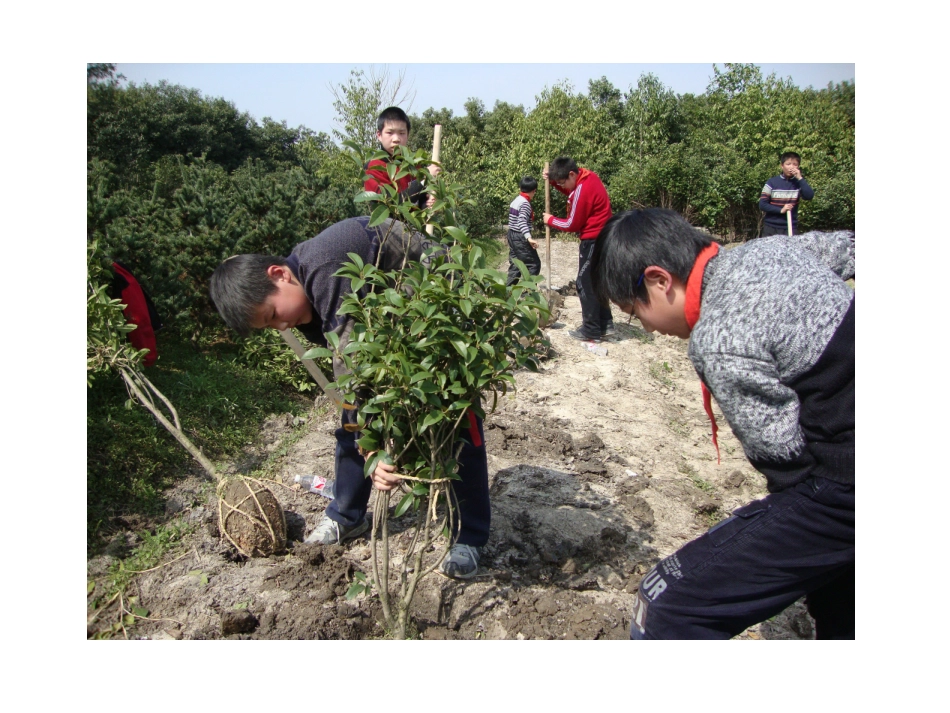 植树问题 (2)_第3页
