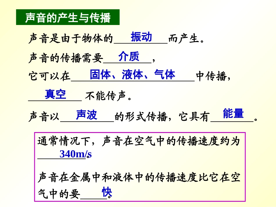 中考复习声现象_第3页