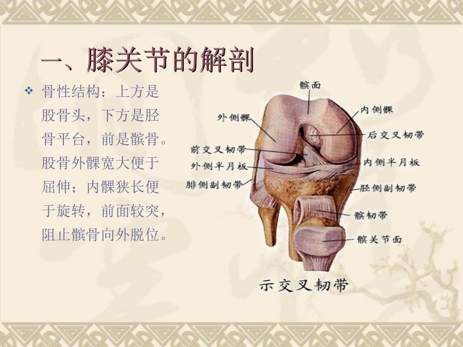 膝关节磁共振_第3页