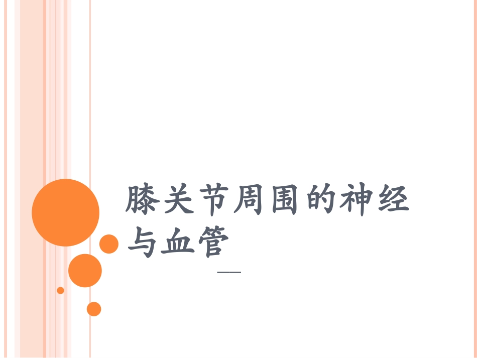 膝关节周围的血管与神经_第1页