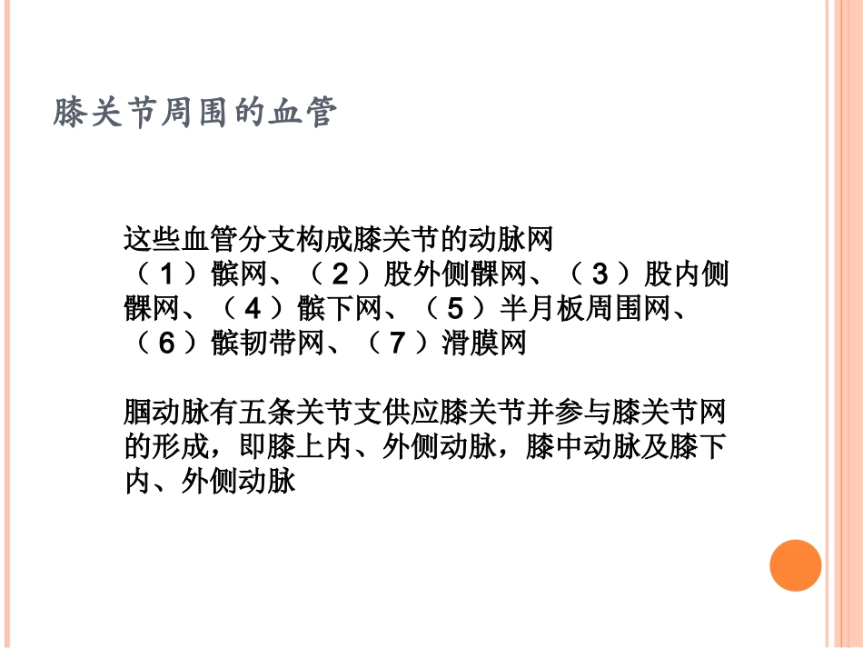 膝关节周围的血管与神经_第3页