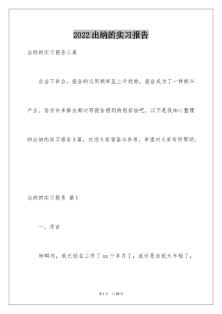 2024出纳的实习报告_67