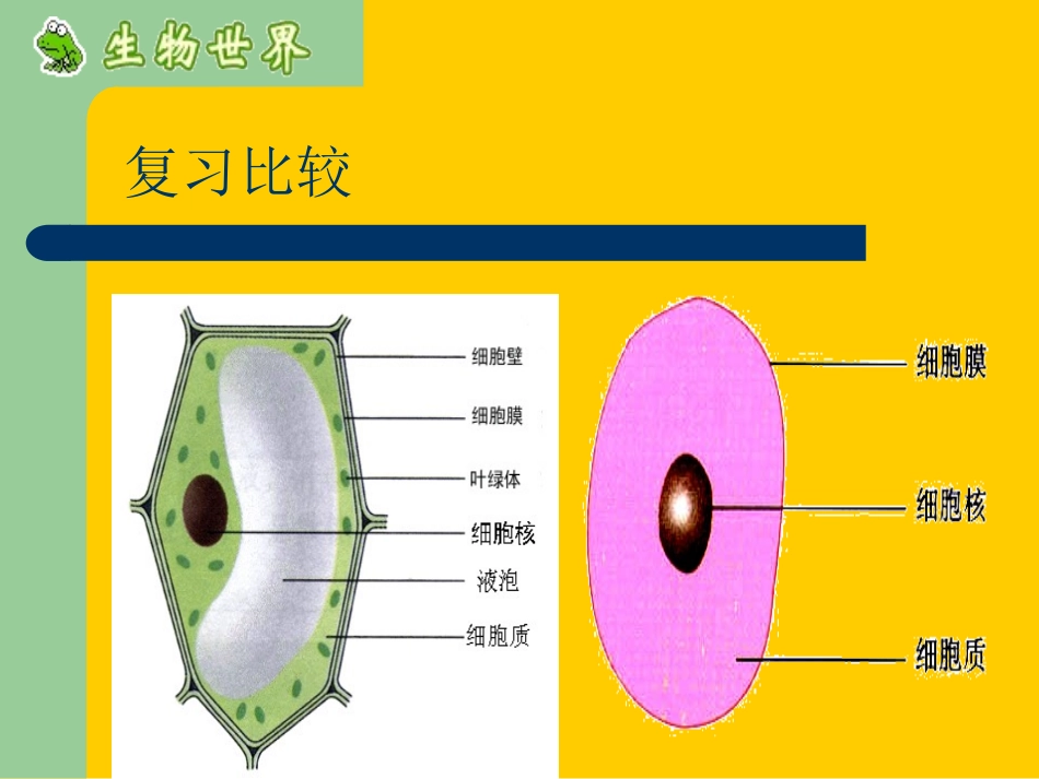 细胞生活需要物质和能量_第2页
