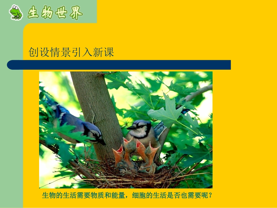 细胞生活需要物质和能量_第3页