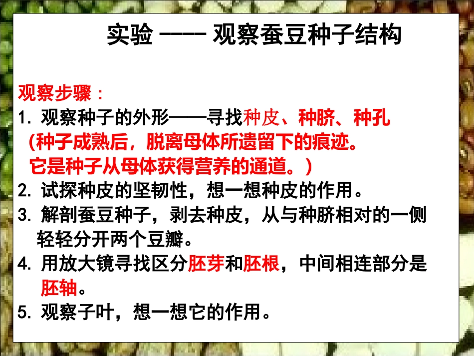 生物：第20章第2节植物的生长发育课件(苏科版八年级上)_第3页