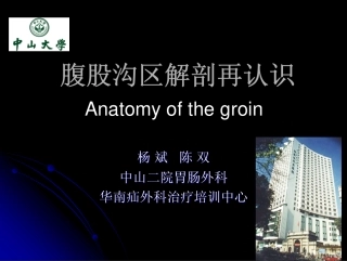 腹股沟区解剖再认识