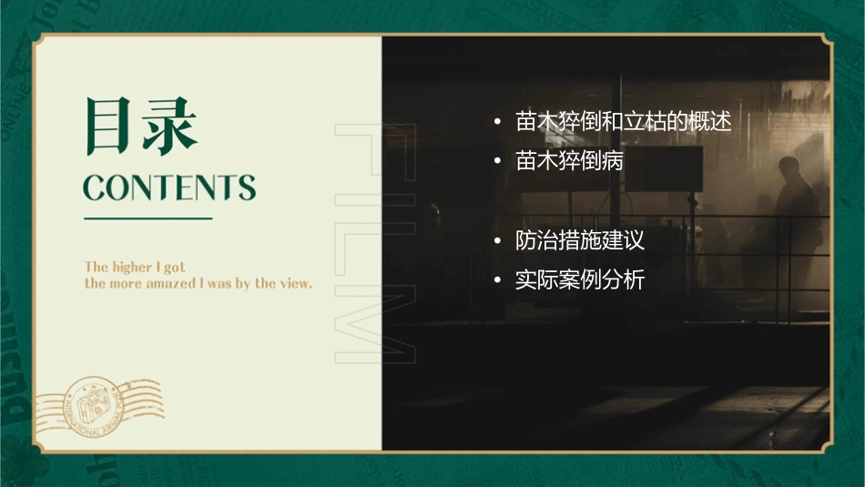 苗木猝倒和立枯课件_第2页