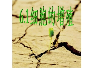 细胞增殖课件经典