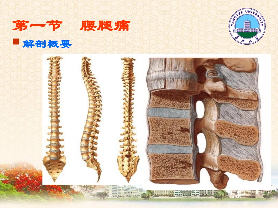 腰腿痛及颈肩痛_第3页