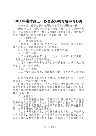 20XX年肃清薄王、孙恶劣影响专题学习心得