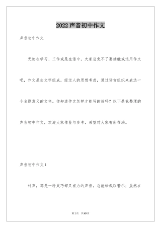 2024声音初中作文_4