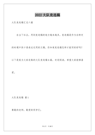 2024大队竞选稿_9