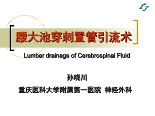 腰大池穿刺置管引流术
