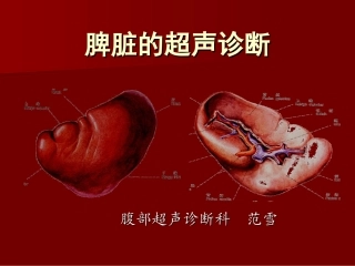 脾脏的超声诊断