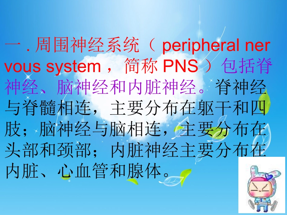 腕关节离段再植后期康复_第2页