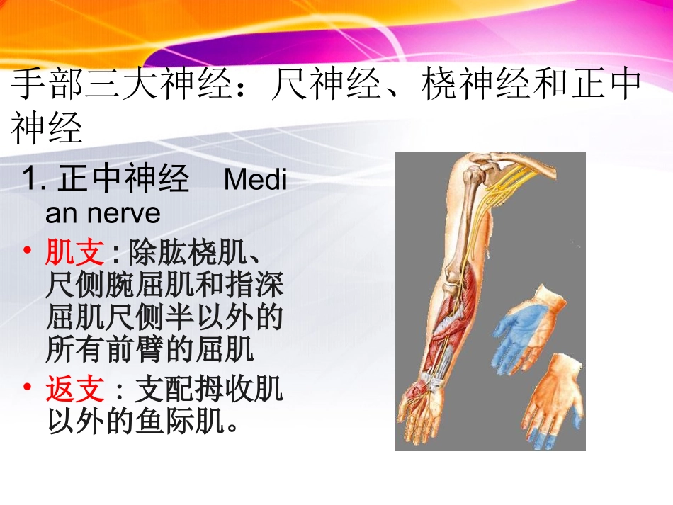 腕关节离段再植后期康复_第3页