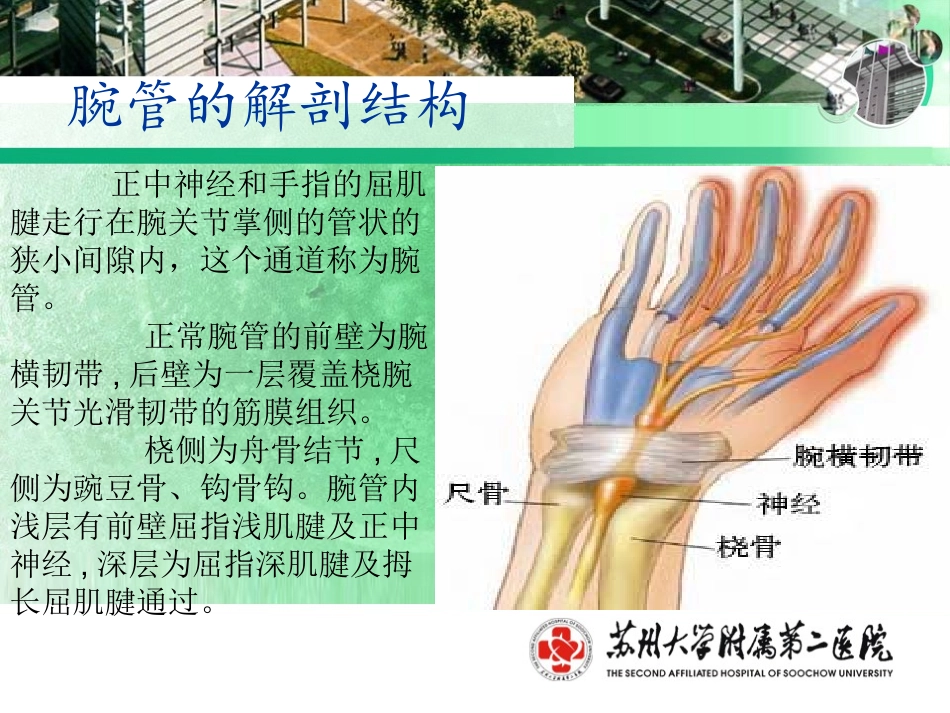 腕管综合症-手外科_第3页