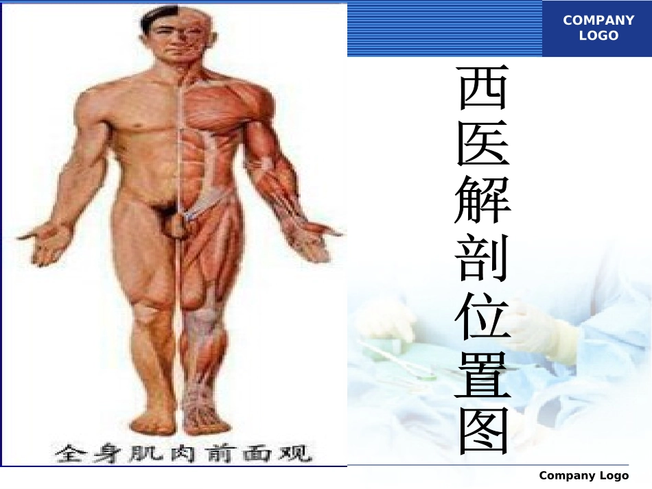 腧穴定位方法_第2页