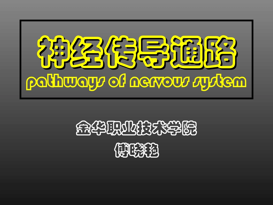 脑脊髓神经传导通路_第1页