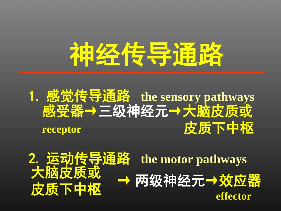 脑脊髓神经传导通路_第2页