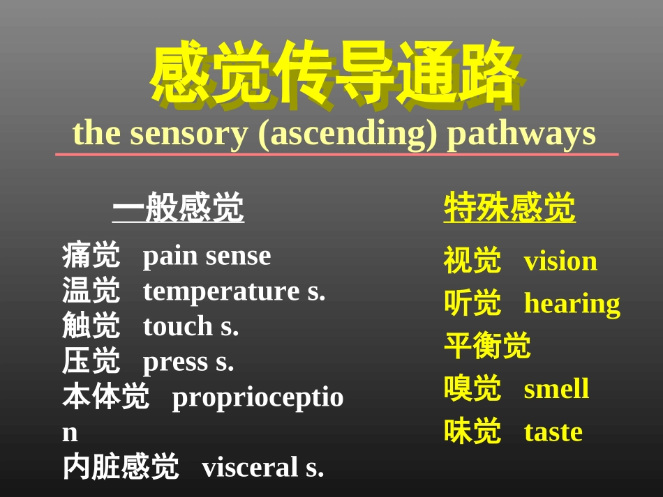 脑脊髓神经传导通路_第3页