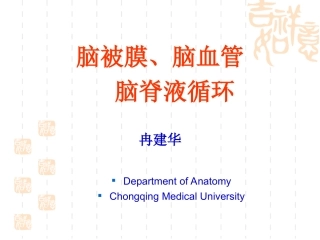 脑血管、被膜及脑脊液